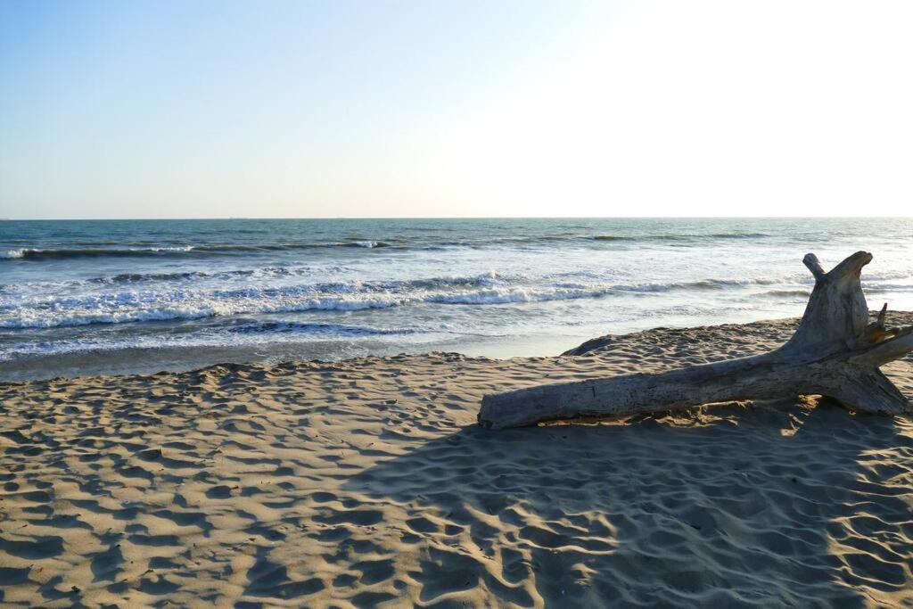 Ecusuites Playas Suite 3 Preference Balcon & Jacuzzi Vista Al Mar Exterior foto